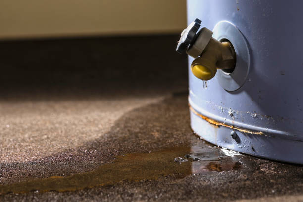 Best Mold removal after water damage  in Fulton, MO