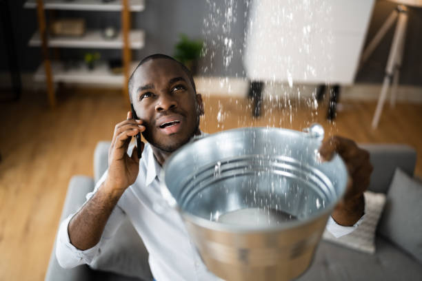 Best Carpet water damage restoration  in Fulton, MO