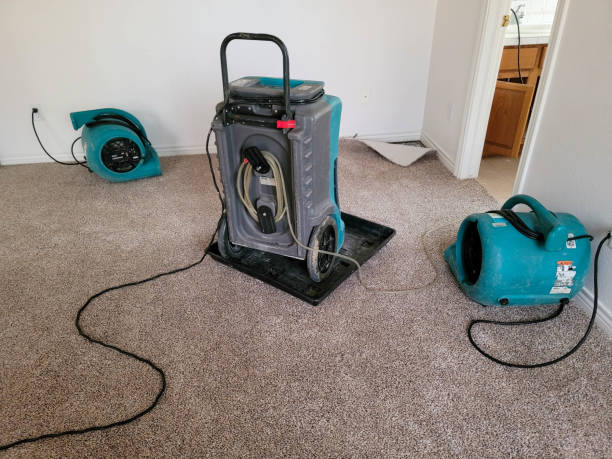 Best Water damage cleanup near me  in Fulton, MO