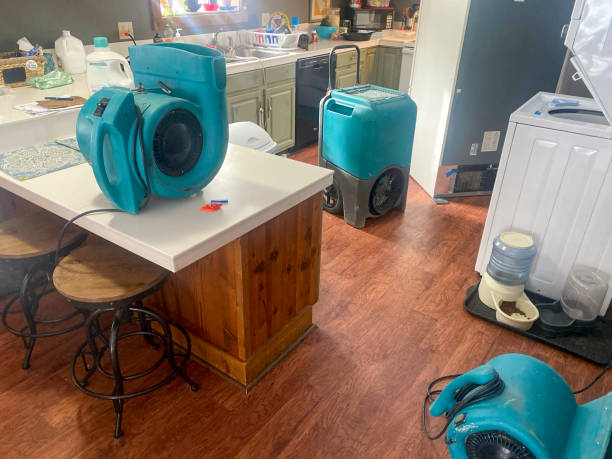 Best Water damage restoration near me  in Fulton, MO