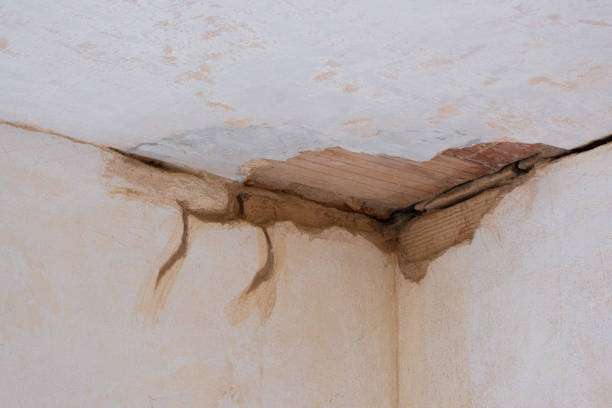 Best Water damage restoration near me  in Fulton, MO