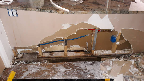 Best Fire Damage Restoration  in Fulton, MO