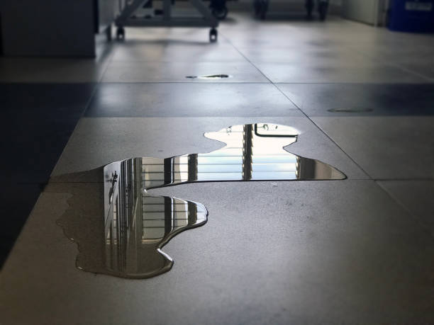 Best Commercial water damage restoration  in Fulton, MO