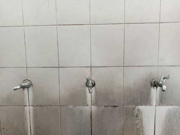 Best Ceiling water damage repair  in Fulton, MO