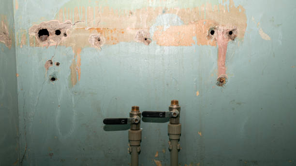 Best Water damage mitigation services  in Fulton, MO