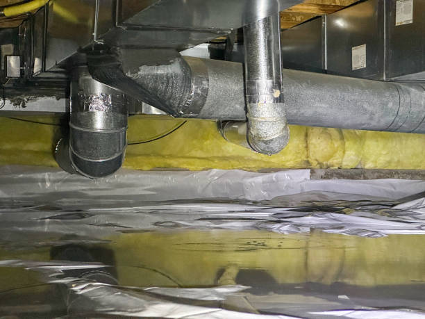 Best Ceiling water damage repair  in Fulton, MO