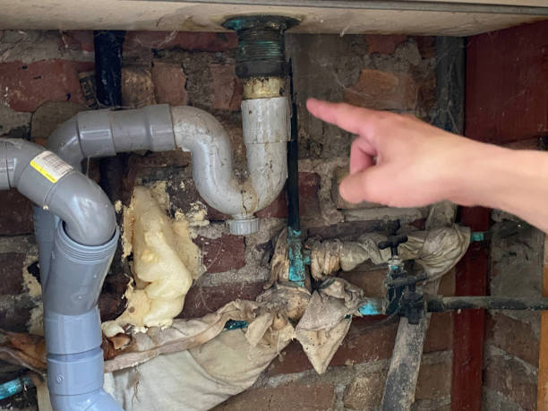 Best Commercial water damage restoration  in Fulton, MO
