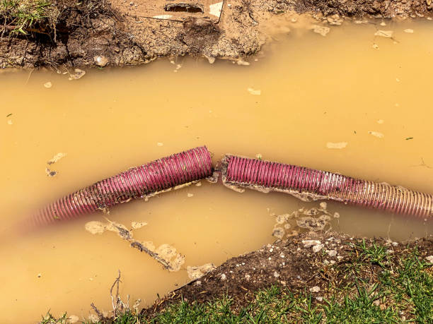 Best Water damage restoration process  in Fulton, MO