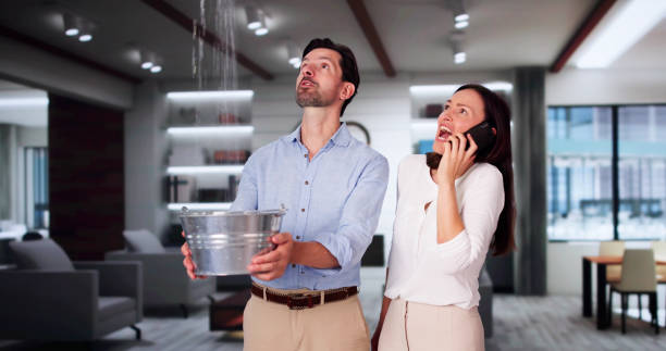 Best Local water damage restoration  in Fulton, MO